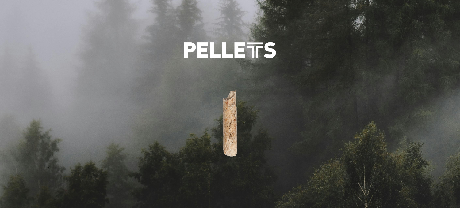 Pellet THEURL